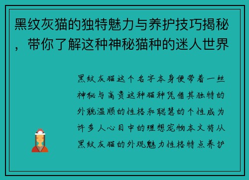 黑纹灰猫的独特魅力与养护技巧揭秘,带你了解这种神秘猫种的迷人世界 黑纹灰猫的独特魅力与养护技巧揭秘,带你了解这种神秘猫种的迷人世界